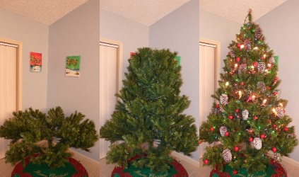 Animations/Tree1.gif